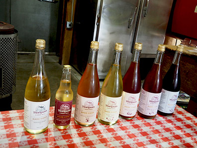 Thompson  Hard Cider - Thompson's Cider Mill - photo by Luxury Experience