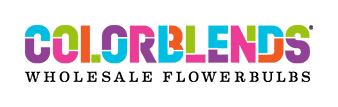 Colorblends Wholesale Flowerbulbs