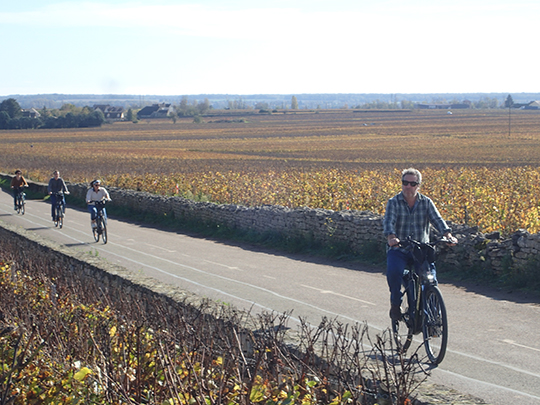 Bike Riders Burgundy Vineyards - photo by Luxury Experience