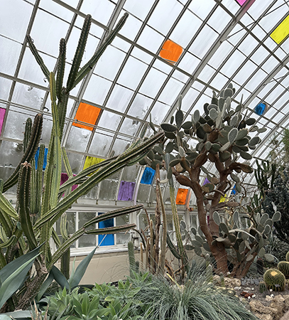 Colorful Panes Desert Gallery - photo by Luxury Experience