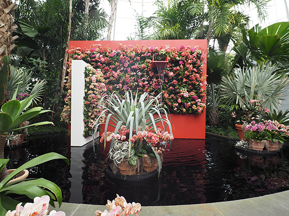 Lovers Fountain Palm Dome - NYGB Orchid Show 2025 - photo by Luxury Experience