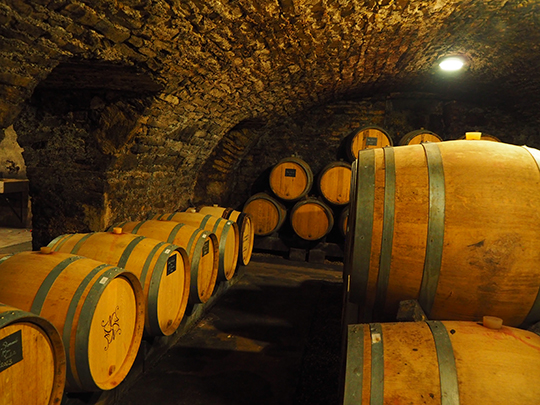 Marchand Tawse Cellar - Photo by Luxury Experience