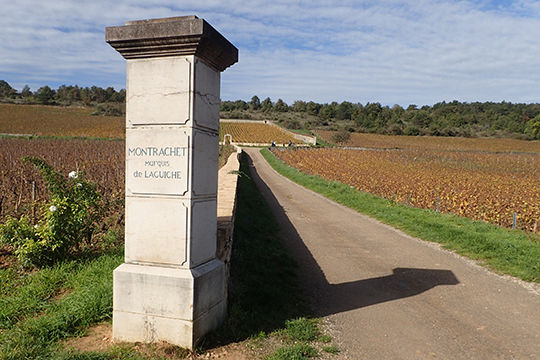 Montrachet Marquie de Laguiche - photo by Luxury Experience