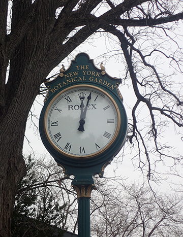 NYBG Clock