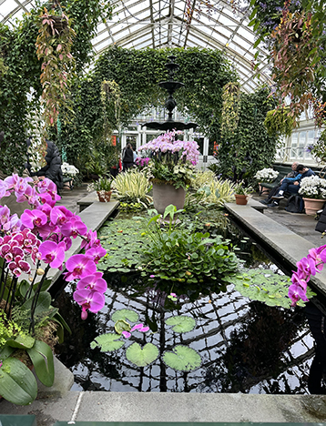 New York Botanical Gardens Orchid Show 2025 - photo by Luxury Experience