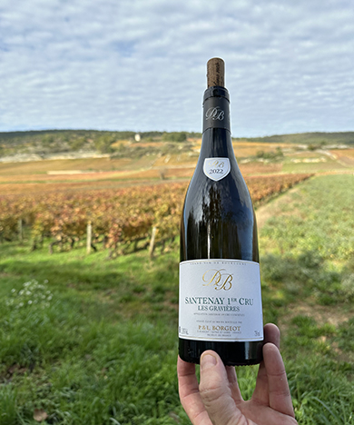 Santenay 1er Cru Les Gravieres - photo by Luxury Experience