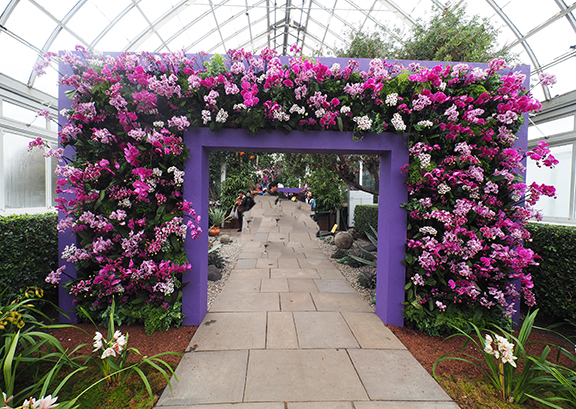 Wall Of Orchids - NY Botanical Gardens 2025 - photo by Luxury Experience