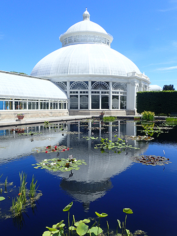 Conservatory Lily Garden - NY Botanical Garden - photo by Luxury Experience