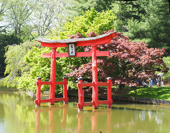 Torii Gate - Brooklyn Botanic Garden - photo by Luxury Experience