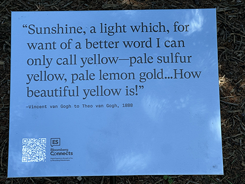 Van Gogh's Excerpt - photo by Luxury Experience