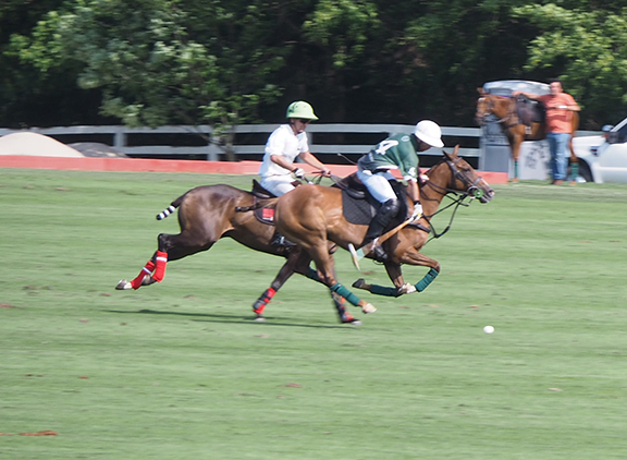 Greenwich Polo East Coast Silver Cup - photo by Luxury Experience