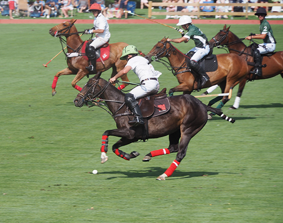 Greenwich Polo East Coast Silver Cup - photo by Luxury Experience