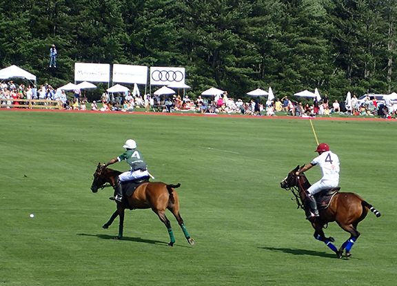 Greenwich Polo East Coast Silver Cup - photo by Luxury Experience