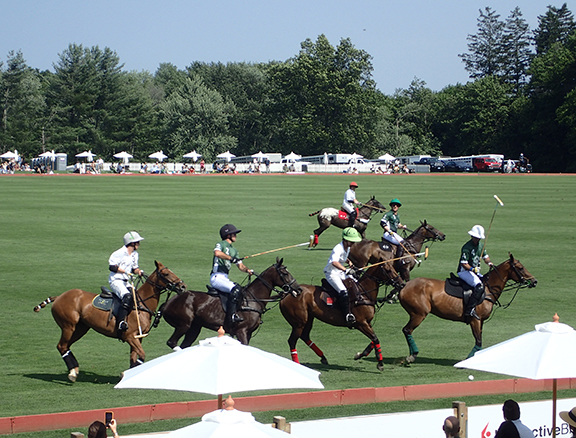 Greenwich Polo East Coast Silver Cup - photo by Luxury Experience
