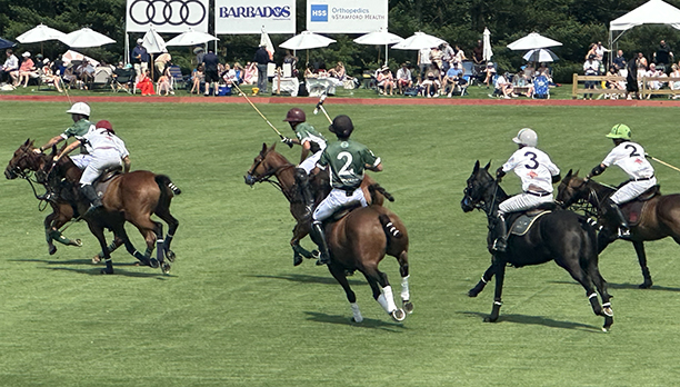 Greenwich Polo East Coast Silver Cup - photo by Luxury Experience
