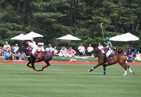 Greenwich Polo East Coast Silver Cup - photo by Luxury Experience