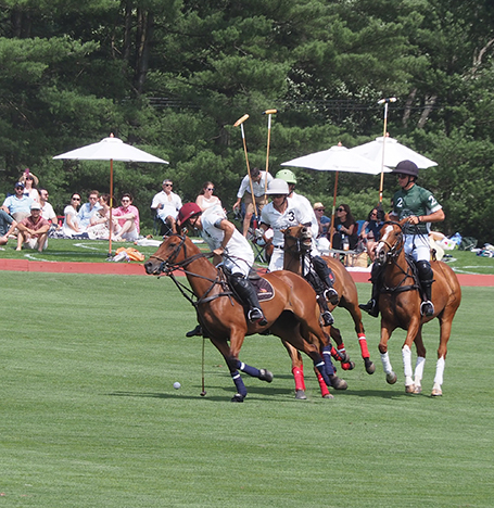 Greenwich Polo East Coast Silver Cup - photo by Luxury Experience