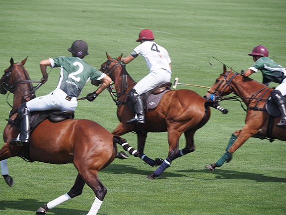 Greenwich Polo East Coast Silver Cup - photo by Luxury Experience