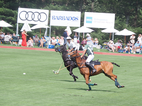 Greenwich Polo East Coast Silver Cup - photo by Luxury Experience