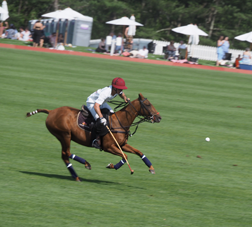 Greenwich Polo East Coast Silver Cup - photo by Luxury Experience