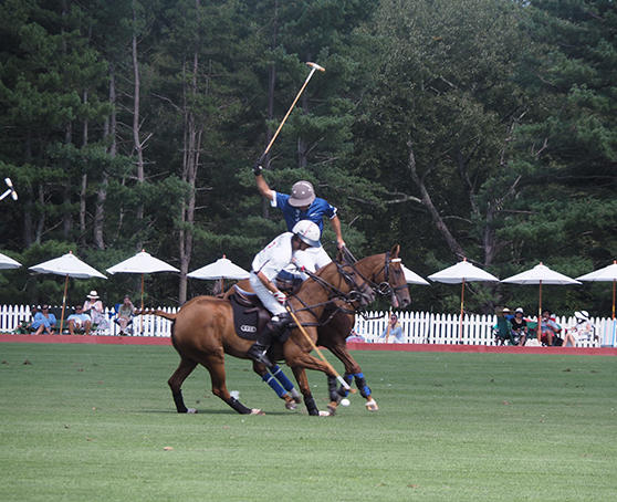 Greenwich Polo - photo by Luxury Experience