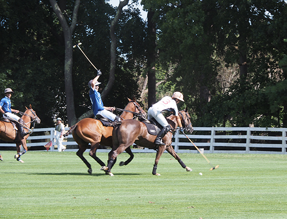Greenwich Polo - photo by Luxury Experience