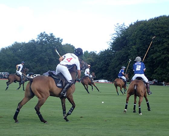 Greenwich Polo - photo by Luxury Experience