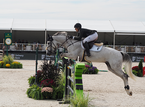 CSI*5 Grand Prix of Greenwich 2025 Major League Show Jumping - photo by Luxury Experience