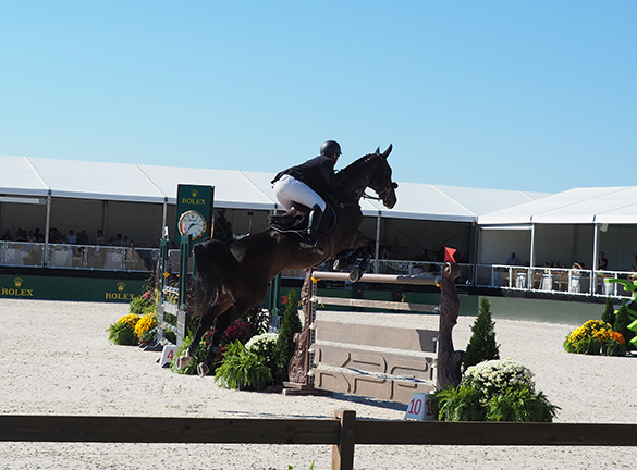 CSI*5 Grand Prix of Greenwich 2025 Major League Show Jumping - photo by Luxury Experience
