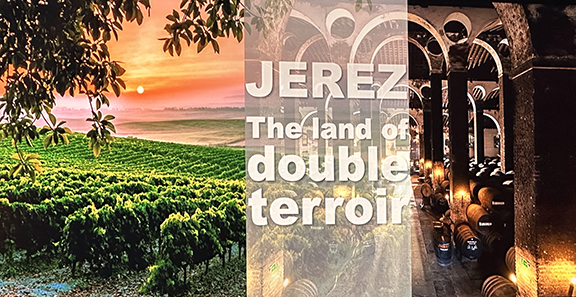 DO Jerez - The Land of Double Terroir - photo by Luxury Experience