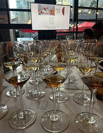 The Tasting - DO Jerez - photo by Luxury Experience
