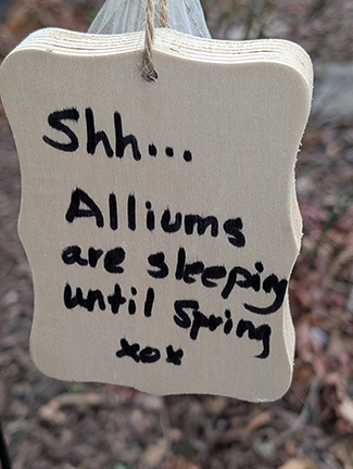 Alliums Sleeping sign - photo by Luxury Experience