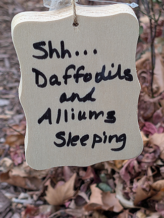 Daffodils and Alliums sign - photo by Luxury Experience