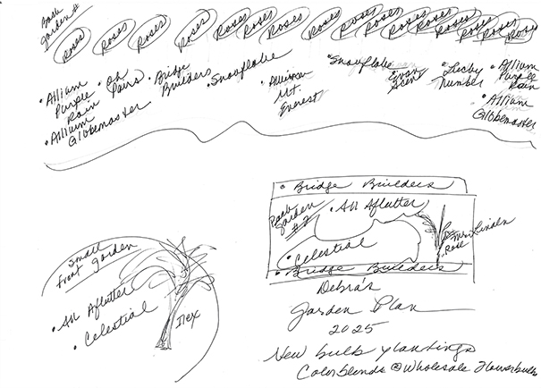 Colorblends Wholesale Flowebulbs - Debra's Garden Plan - photo by Luxury Experience