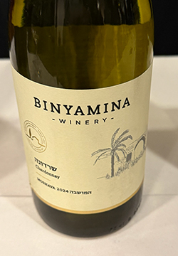 Binyamina Chardonnay 2024 - photo by Luxury Experience