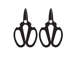 Mr. Flower Fantastic logo