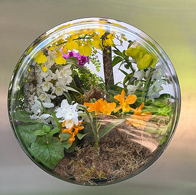 NYBG Orchid Show 2026 Laundry - photo by Luxury Experience