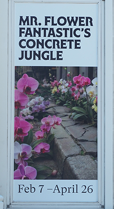 NYBG Orchid Show - Mr. Flower Fantastic's Concrete Jungle - photo by Luxury Experience