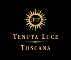 Tenuta Luce Toscana logo