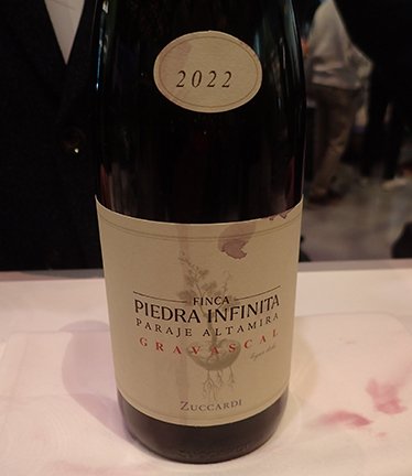 Finca Piedra Infinita Gravascal Malbec 2022 - photo by Luxury Experience