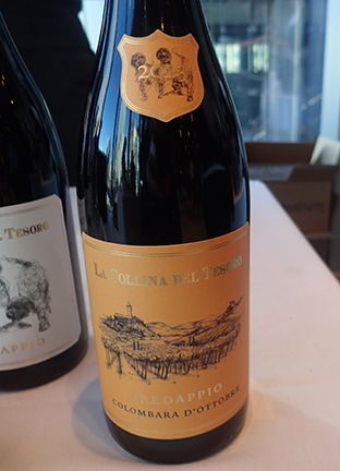 La Collina Del Tesoro Sangiovese Predappio Romagna 2023 - photo by Luxury Experience