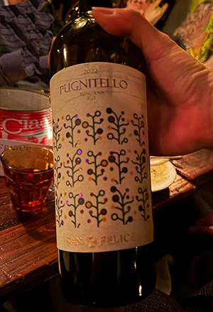 Pugnitello Toscana IGT 2022 - photo by Luxury Experience