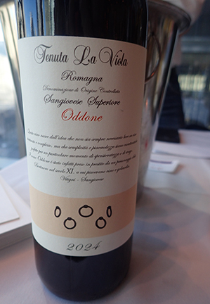 Tenuta La Viola Romagna Oddone 2024 - photo by Luxury Experience