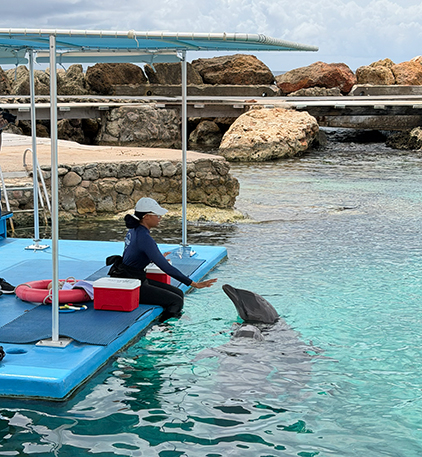 Dolphin Training Curaçao Sea Aquarium - photo by Luxury Experience
