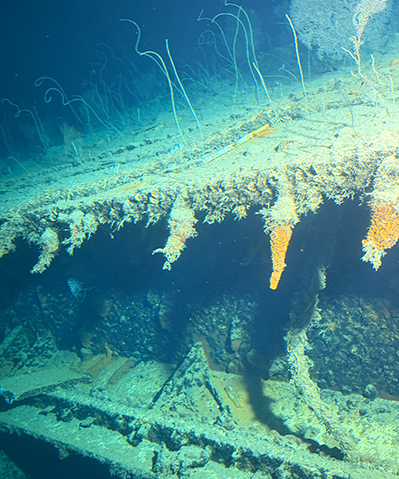 Curasub Adventure - Rusticles on ship wreck - photo by Luxury Experience