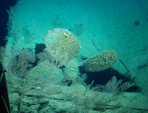 Curasub Adventure - Ship wreck propeller - photo by Luxury Experience