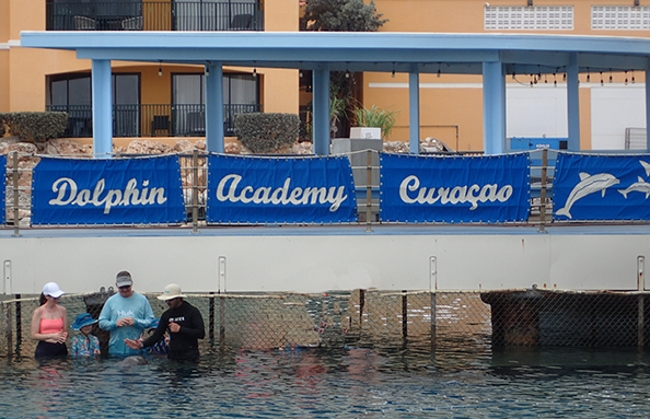 Dolphin Academy Curaçao - Curaçao Sea Aquarium - photo by Luxury Experience