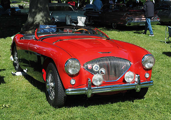 Austin Healey 100 Le Mans 1954 - photo by Luxury Experience