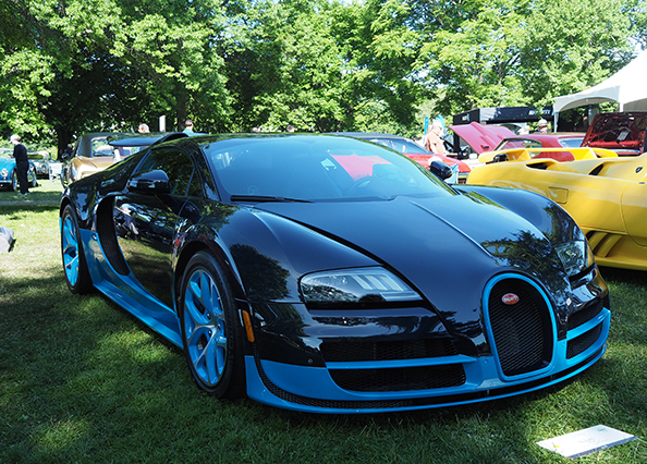 Bugatti Veyron 2012 - photo by Luxury Experience