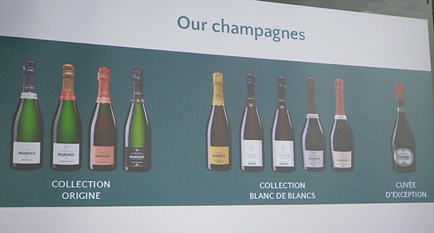 Champagne Mandois - Collection of Champagne - photo by Luxury Experience